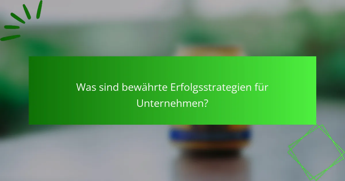Was sind bewährte Erfolgsstrategien für Unternehmen?