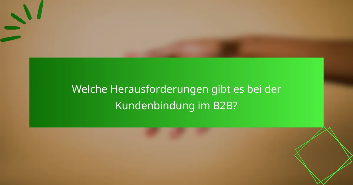 Welche Herausforderungen gibt es bei der Kundenbindung im B2B?