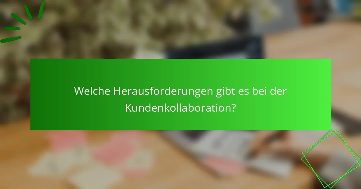 Welche Herausforderungen gibt es bei der Kundenkollaboration?