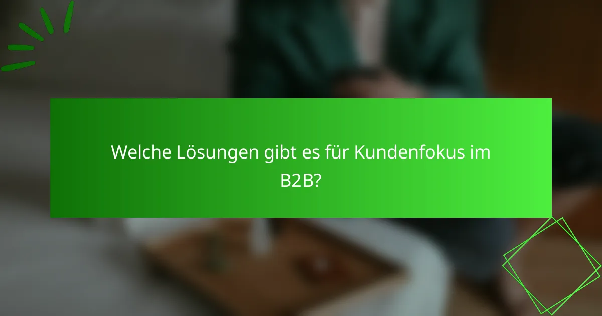 Welche Lösungen gibt es für Kundenfokus im B2B?